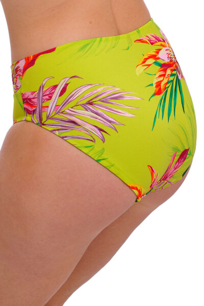 fantasie cala macarella high waist bikinislip back crop