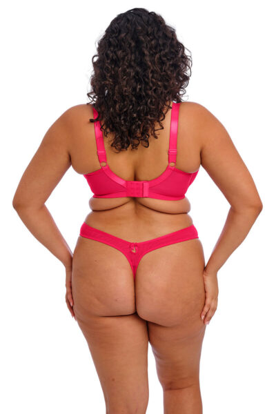 elomi teagan padded halve cup bh back