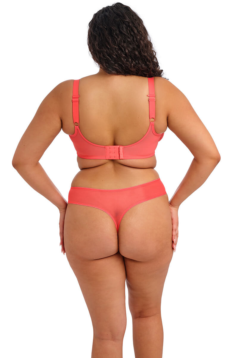 elomi matilda string sunset back