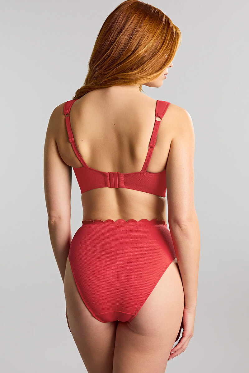 panahce spirit high waist bikinislip red back