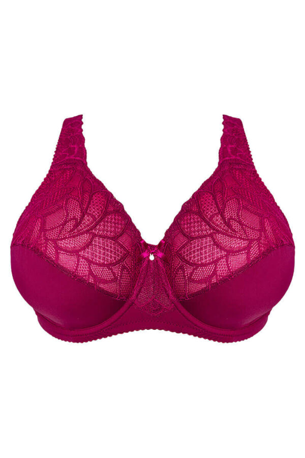 plaisir beate hele cup bh cutout front