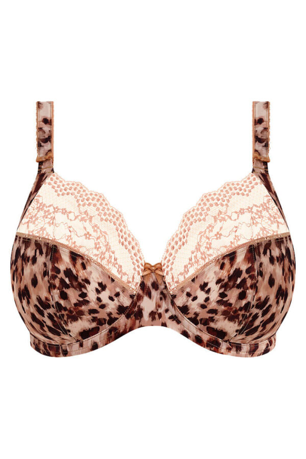 elomi lucie plunge bh wildcat cutout
