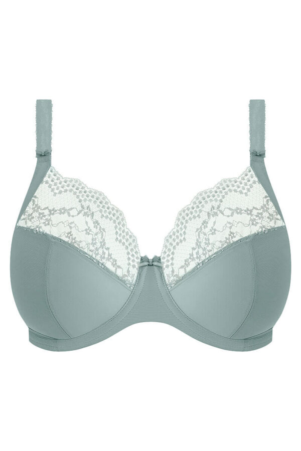 elomi plunge bh lucie mist cutout