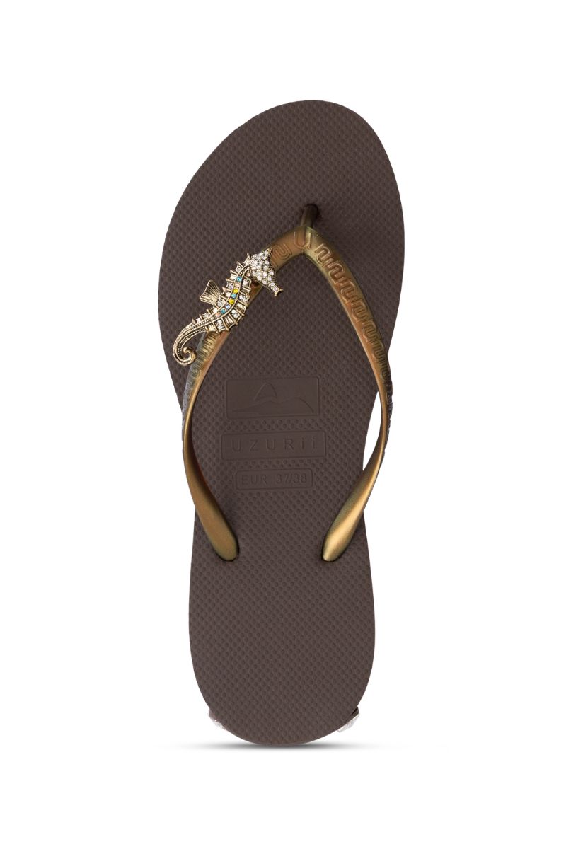 uzurii slippers seahorse switch coffee1